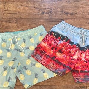 Colorful Pineapple and Flamingo Swim Shorts